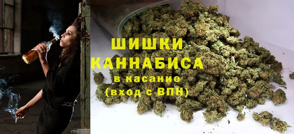 крисы Абдулино