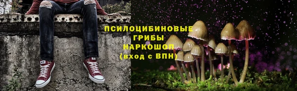 крисы Абдулино