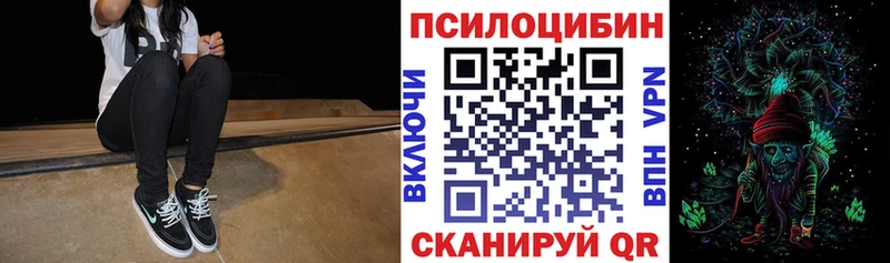 где можно купить наркотик  Рыльск  Псилоцибиновые грибы мухоморы 